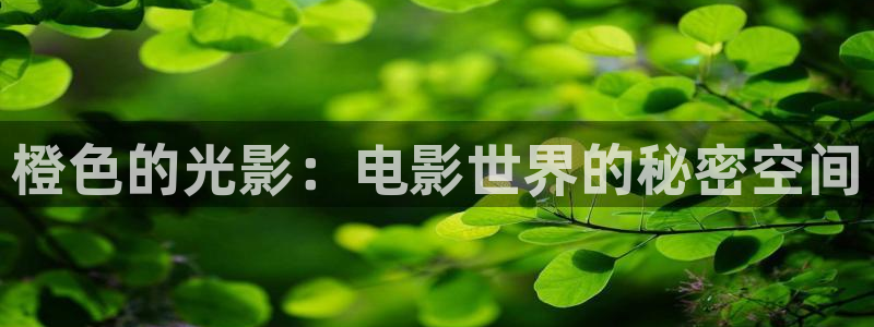 天津保利国际影城今日影讯